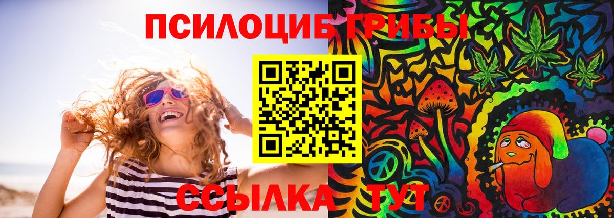 Псилоцибиновые грибы Psilocybe Ухта