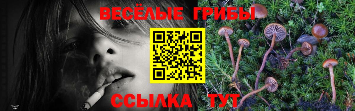 Ухта  Галлюциногенные грибы Magic Shrooms  Вход с VPN  Псилоцибиновые грибы GOLDEN TEACHER 
